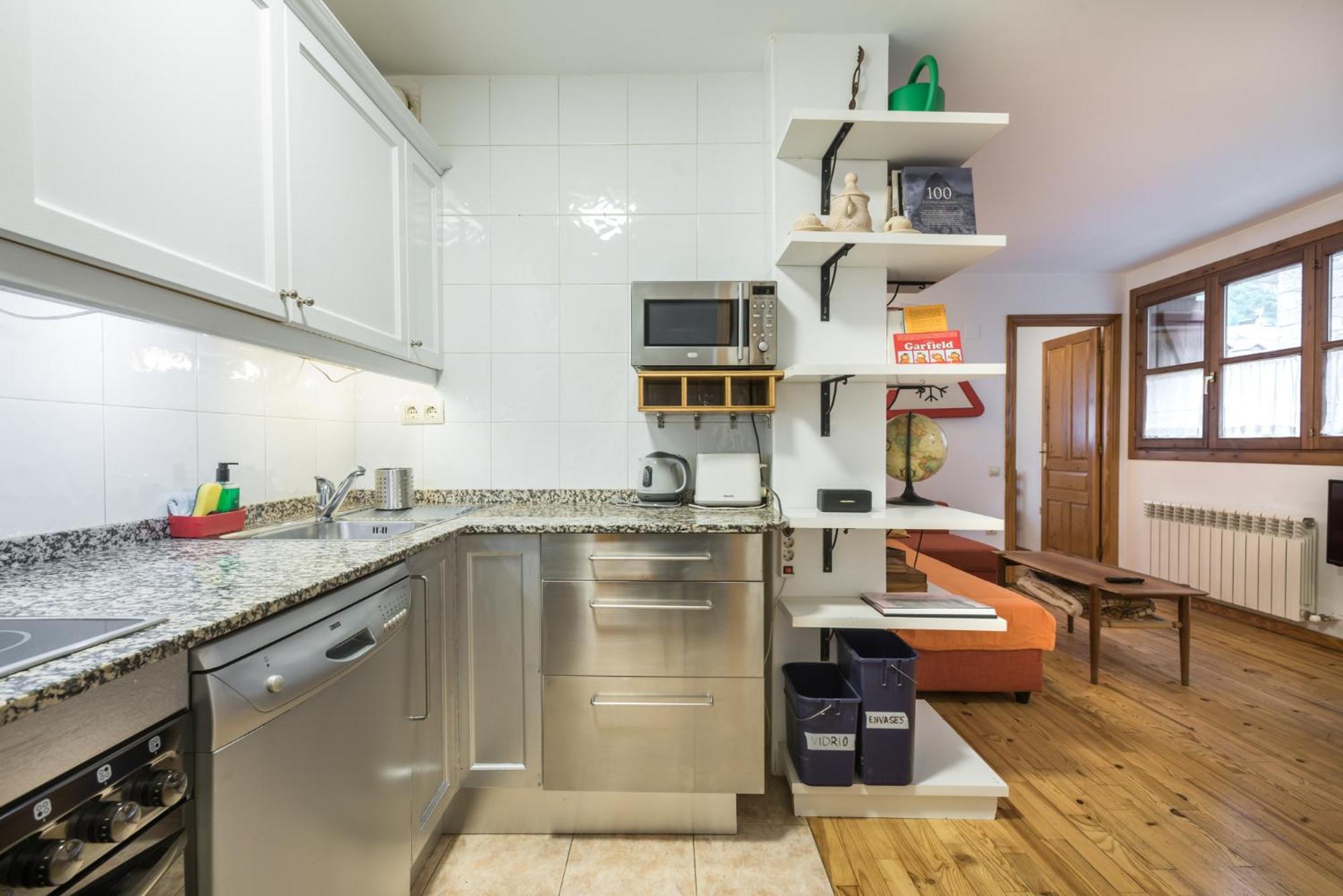 Apartamento La Benasquita Бенаск Екстериор снимка